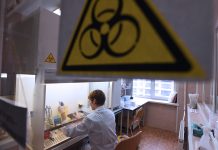 Фейк Марии Захаровой: в США признали существование в Украине 36 биолабораторий, проводивших опыты на людях