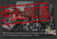 Манипуляция: В украинских вооруженных силах свирепствует эпидемия геморрагической горячки