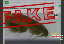 Фейк: Американцы тайно создают армию зараженных насекомых-убийц