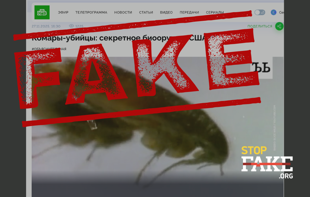 Банери для сайту 1068681 (1)