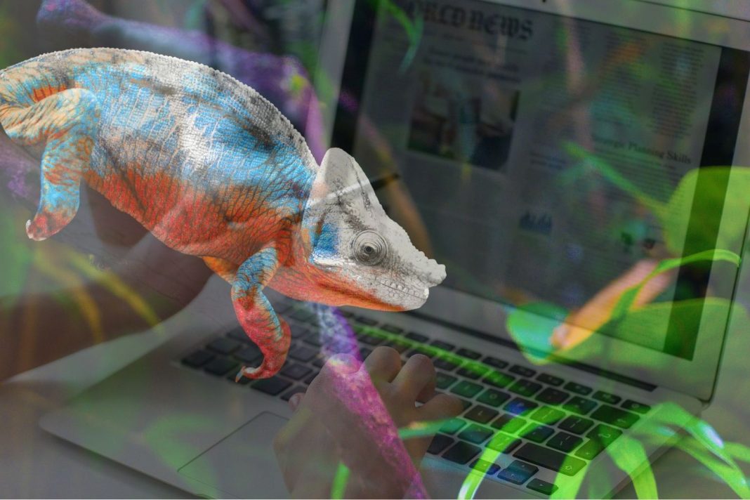 Projekt bez nazwy (1)