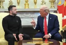 Фейк советника Путина: советники Трампа предлагали отправить Зеленского в Гуантанамо