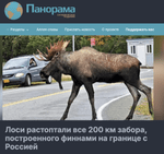 Знімок екрана 2026-09-14 о 12.17.36